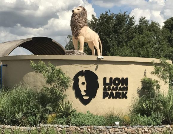 Lion and Safari Park Tour