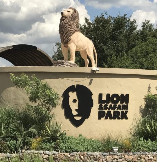 Lion and Safari Park Tour